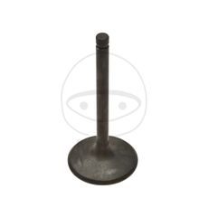 Sesalni ventil (inlet valve) JMT
