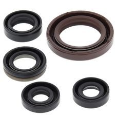 Engine Oil Seal Kit WINDEROSA 822327
