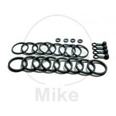 Komplet za popravilo zavornih čeljusti (brake caliper repair kit) TOURMAX OST 2042
