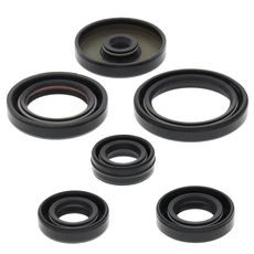 Engine Oil Seal Kit WINDEROSA 822229