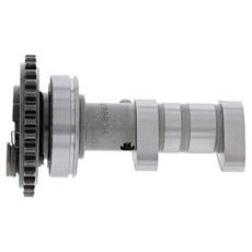 Camshaft exhaust HOT CAMS HC00060