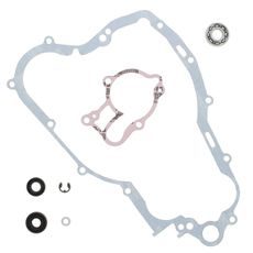 Water Pump Rebuild Kit WINDEROSA 821670