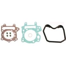 Engine TOP END gaskets RMS 100689221