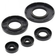 Engine Oil Seal Kit WINDEROSA 55105