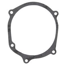 Ignition cover gasket WINDEROSA 817655
