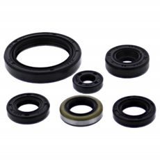 Engine Oil Seal Kit WINDEROSA 822379