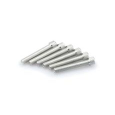 Screws PUIG ANODIZED 0524P srebrna M8 x 50mm (6pcs)