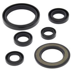 Engine Oil Seal Kit WINDEROSA 822338
