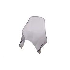 Windshield NAKE PUIG NAKED 4112H smoke