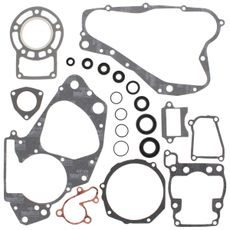 Complete Gasket Kit with Oil Seals WINDEROSA 811542
