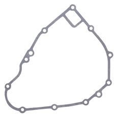 Ignition cover gasket WINDEROSA 816119