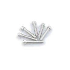 Screws PUIG ANODIZED 0516P srebrna M8 x 45mm (6pcs)