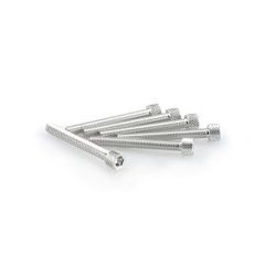 Screws PUIG ANODIZED 0421P srebrna M6 x 50mm (6pcs)