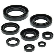 Engine Oil Seal Kit WINDEROSA 822147