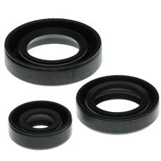 Engine Oil Seal Kit WINDEROSA 822199