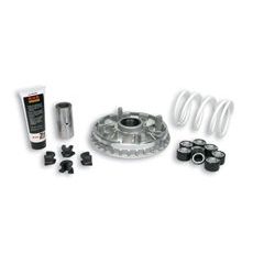 VARIATOR MULTIVAR 2000 Beverly 350 Malossi 5119126