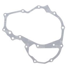 Ignition cover gasket WINDEROSA 816192