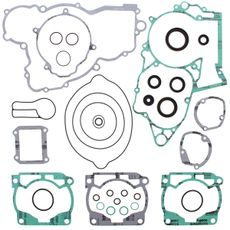 Complete Gasket Kit with Oil Seals WINDEROSA 811325
