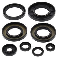 Engine Oil Seal Kit WINDEROSA 822349