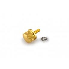 Final seat screw CUSTOMACCES TH0001O zlata