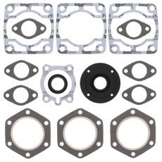 Complete Gasket Kit with Oil Seals WINDEROSA 711081X