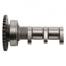 Camshaft intake HOT CAMS 4097-3IN