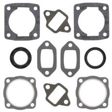 Complete Gasket Kit with Oil Seals WINDEROSA 711003