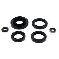 Engine Oil Seal Kit WINDEROSA 822366