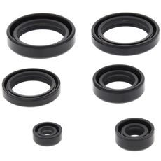 Engine Oil Seal Kit WINDEROSA 822310