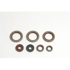 Set tesnil motorja za olje (Engine Oil Seals Kit) ATHENA P400270400038