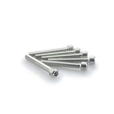 Screws PUIG ANODIZED 0370P srebrna M6 x 45mm (6pcs)