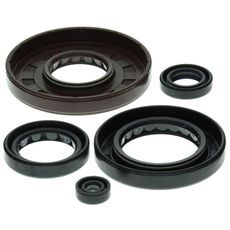 Engine Oil Seal Kit WINDEROSA 822210