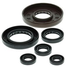 Engine Oil Seal Kit WINDEROSA 822209