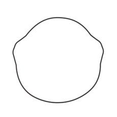 Tesnilo sklopke (Clutch cover gasket) WINDEROSA 817200 outer side