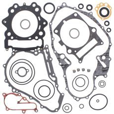 Complete Gasket Kit with Oil Seals WINDEROSA 811923