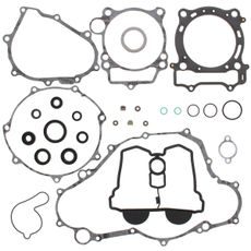 Complete Gasket Kit with Oil Seals WINDEROSA 811677