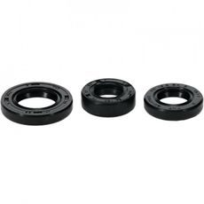 Engine Oil Seal Kit WINDEROSA 822999