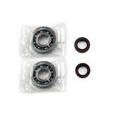 Ležaji in tesnila za glavno gred (Crankshaft rebuilding kit) ATHENA P400480444001