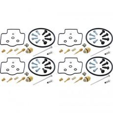 Carburetor Rebuild Kit All Balls Racing 26-1631