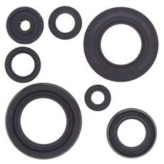 Engine Oil Seal Kit WINDEROSA 822154