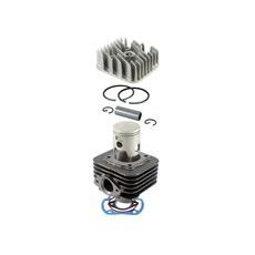 Cylinder RMS 100080481