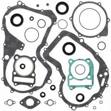 Complete Gasket Kit with Oil Seals WINDEROSA 811914