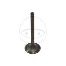 Sesalni ventil (inlet valve) JMT
