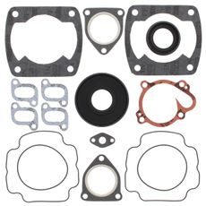 Complete Gasket Kit with Oil Seals WINDEROSA 711139A