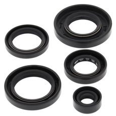 Engine Oil Seal Kit WINDEROSA 822343