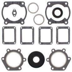 Complete Gasket Kit with Oil Seals WINDEROSA 711147C