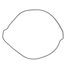 Tesnilo sklopke (Clutch cover gasket) WINDEROSA 817976 outer side