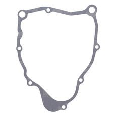 Ignition cover gasket WINDEROSA 816157
