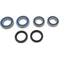 Wheel Bearing Kit All Balls Racing 25-1809 zadaj