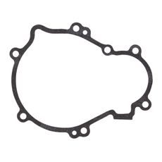 Ignition cover gasket WINDEROSA 816725